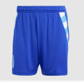 Argentina  Football Away Kit (Copa America 2024). 