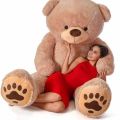 Premium Quality 7ft Teddy Bear. 