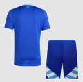 Argentina  Football Away Kit (Copa America 2024). 