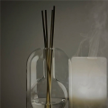 ARELENE 3X Storage Containers Diffuser Bottles Aromatherapy Diffuser Bottle Modern Diffuser Glass Bottle,A. 