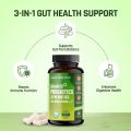 Naturaltein Advanced Probiotics & Prebiotics 50 Billion CFUs- 60 Veg Capsules With Supports Digestive Health & Immune Health. 