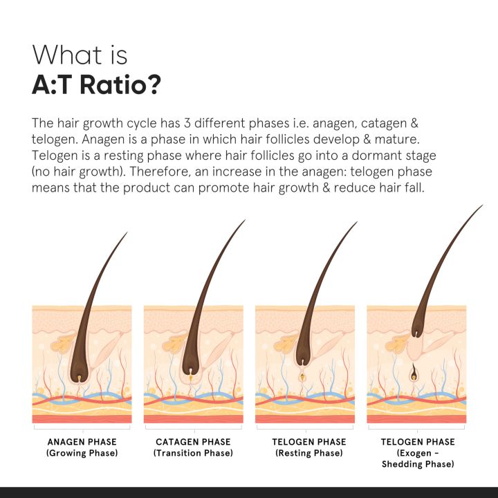 Minimalist%20Hair%20Growth%20Serum%20With%203%25%20Redensyl,%203%25%20Anagain,%203%25%20Procapil,%205%25%20Capixyl%20&%204%25%20Baicapil%2018%25%20Hair%20Growth%20Actives%20%7C%20For%20Hair%20Fall%20Control%20%7C%20For%20Men%20&%20Women%20%7C%2030%20ml%20-%20Image%203