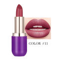 Matte Lipstick Cross Border Makeup Amazon YABAOLIAN Matte Lip Gloss Non-Stick Cup Matte Lipstick. 