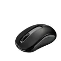 Rapoo M216 Wireless Mouse. 