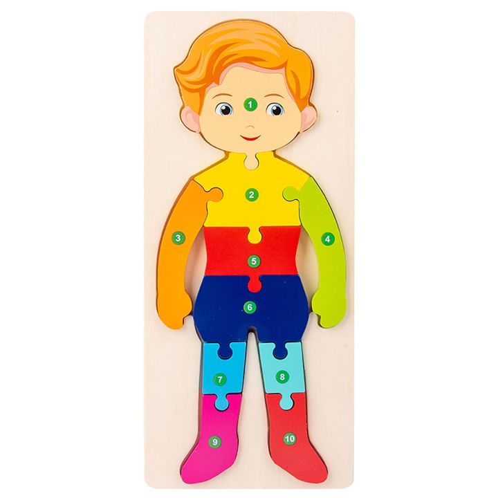 Wooden Human Body Structure Puzzle for Kids - Educational Montessori ...