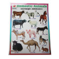 Wild & Domestic Animals Chart No. 6- 12" x 24 ". 