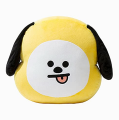 KOJA BTS Plush Pillows Kpop Bangtan Boys Bt21 Warm Bolster Cushion Plushie. 
