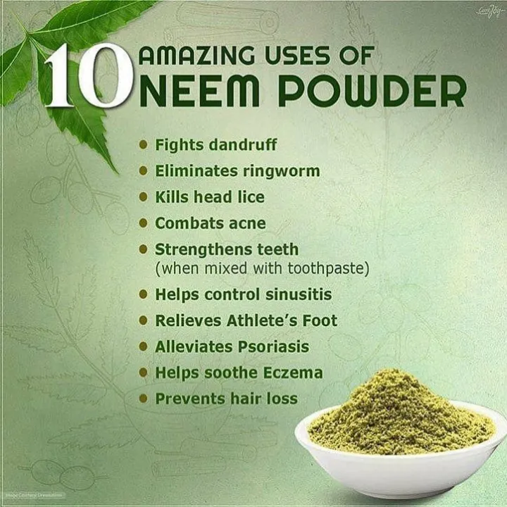 Nim%20Leaves%20Powder%20-%205Kg%20-%20Image%203