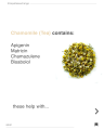 Chamomile Tea - Nepal Tea Exchange - 50g. 
