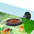 Shrimp Feeder Tube and Dish Plastic Fish Feeding Ring Floating Circle Easy to Use Aquarium Feeders for Tropical FishYULING. 