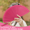 Folding Fan Home Ornaments Modern Classical Dance Performances Hand Fan Art G. 