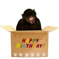 Creative Funny 3D Birthday Greeting Card Humorous Character Paper Hilarious Pop-Up Card Novelty Surprise Invitation Card Wedding Decor. 