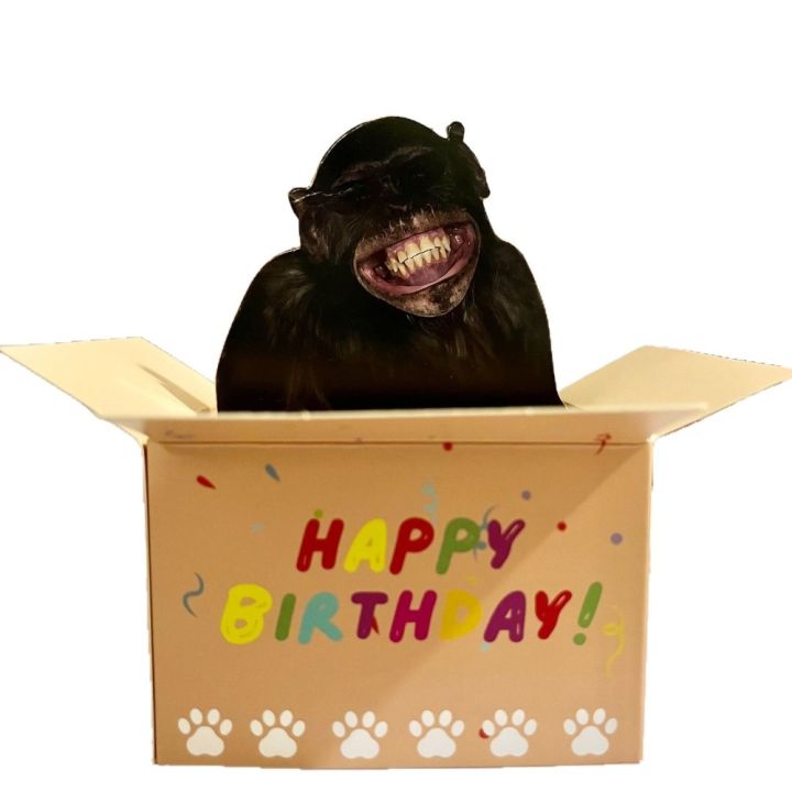 Creative%20Funny%203D%20Birthday%20Greeting%20Card%20Humorous%20Character%20Paper%20Hilarious%20Pop-Up%20Card%20Novelty%20Surprise%20Invitation%20Card%20Wedding%20Decor%20-%20Image%209