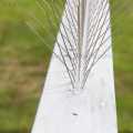 Bird Spikes, 2 and 3 Pins, 50cm - Set of 10 Pcs. 