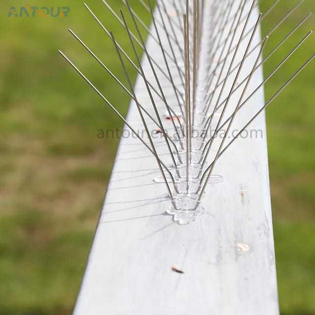 Bird%20Spikes,%202%20and%203%20Pins,%2050cm%20-%20Set%20of%2010%20Pcs%20-%20Image%202