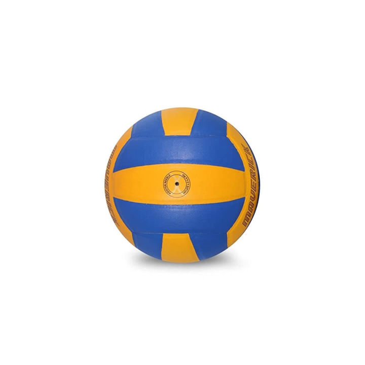 Volleyball%20Vector%20X%20Maverick%20-%20Image%204