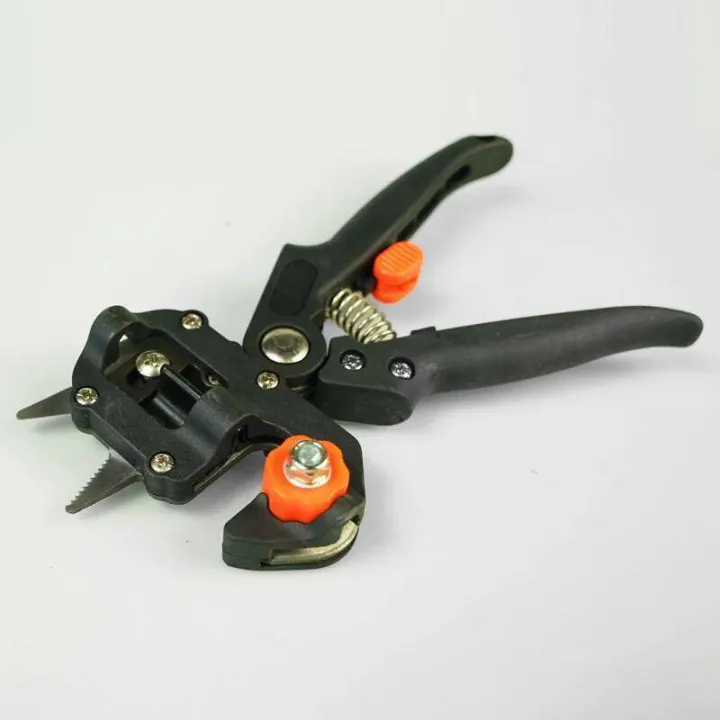 Pruner%20Garden%20Tool%20Professional%20Branch%20Cutter%20Secateur%20Pruning%20Plant%20Shears%20Boxes%20Fruit%20Tree%20Grafting%20Scissor%20-%20Image%203