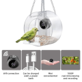 ARELENE Smart Bird Feeder with Camera, Bird Watching Camera Wirelessly Automatically Captures Bird Video and Motion Detection. 