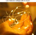 Wine Bottle Cork Copper String Fairy LED Lights. 