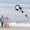 Huge Frameless 3D oft Wing Giant Whale Kite. 