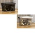 Basic Air-Tight Container Box (Large Size). 