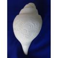 Sankha ,Conch Shell  Huge Size Bajney Sankha 9 Inch Long  12 Inch round. 