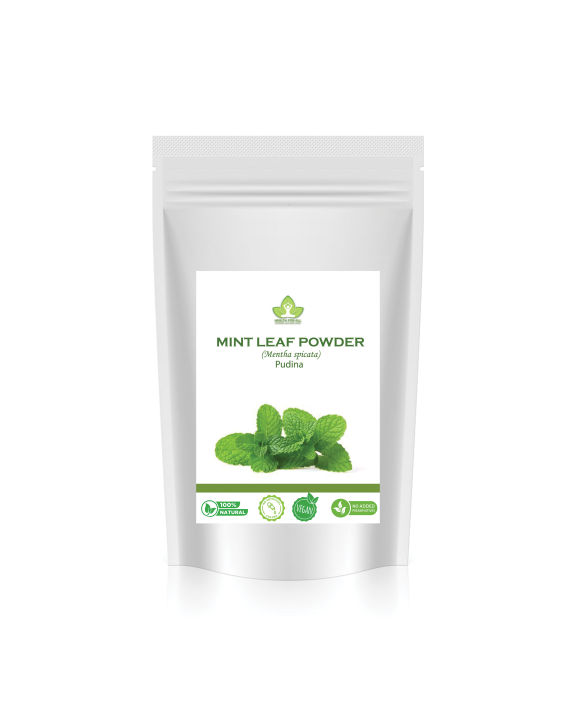 Mint Leaves Pudina Powder 100gm