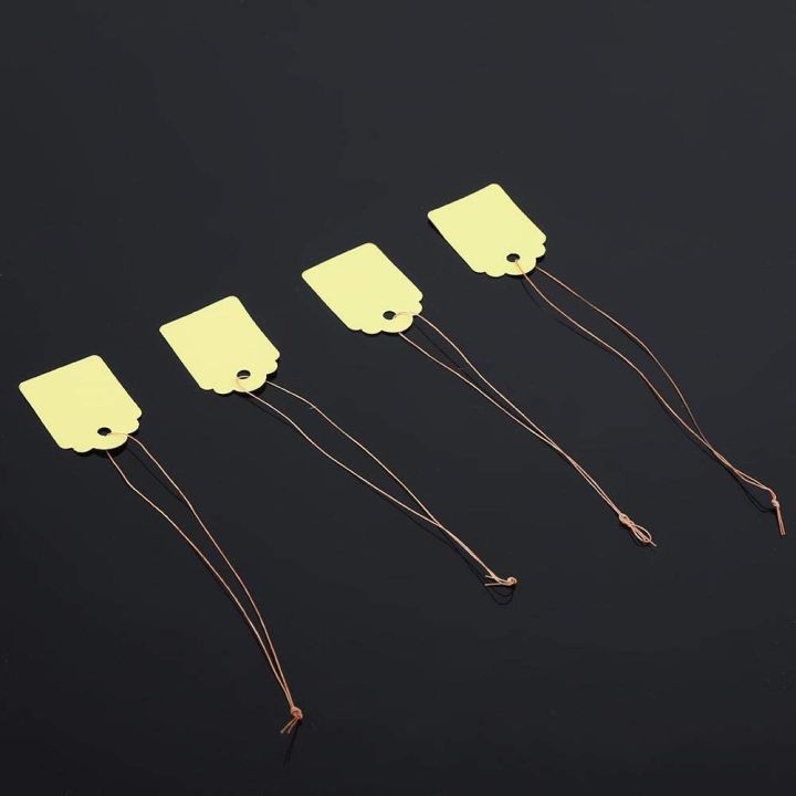 200Pcs%20Plant%20Hanging%20Tag%20Waterproof%20Plastic%20Labels%20Reusable%20Garden%20Markers%20Blank%20Nursery%20Name%20Tags%20with%20Strings%20-%20Image%203