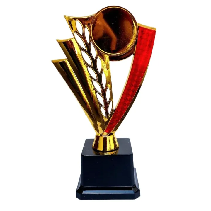 22cm%20Gold%20Cup%20Winner%20Trophy%20%20for%20Awards,%20Party%20Celebrations%20Ceremony%20Appreciation%20Gift%20Sport%20Academy%20AS%20-%20Image%204