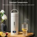 500mL Portable Electric Kettle Mini Stainless Steel Water Boiler with 4 Temperature Settings and Auto Shut Off. 