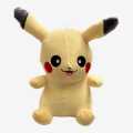 Pikachu Stuffed Toy. 