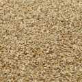 Jwano Seeds (Ajwain) 500gm. 