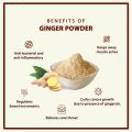 Ginger Powder - Aromatic Dried Ginger Powder -100 gm. 