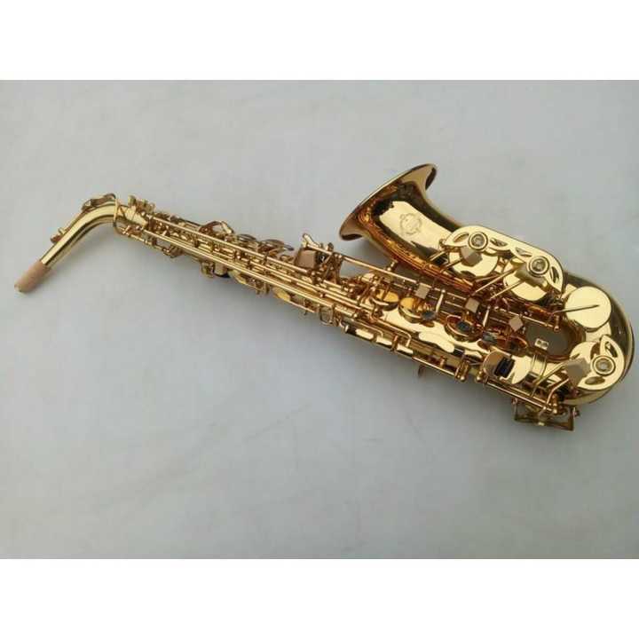 SAXOPHONE Musical Instrument with Hard Case