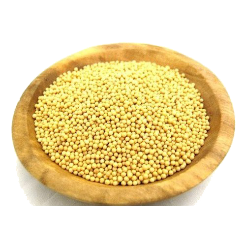 Yellow Mustard Seeds (Sarseu Ko Dana ) - 100 GM