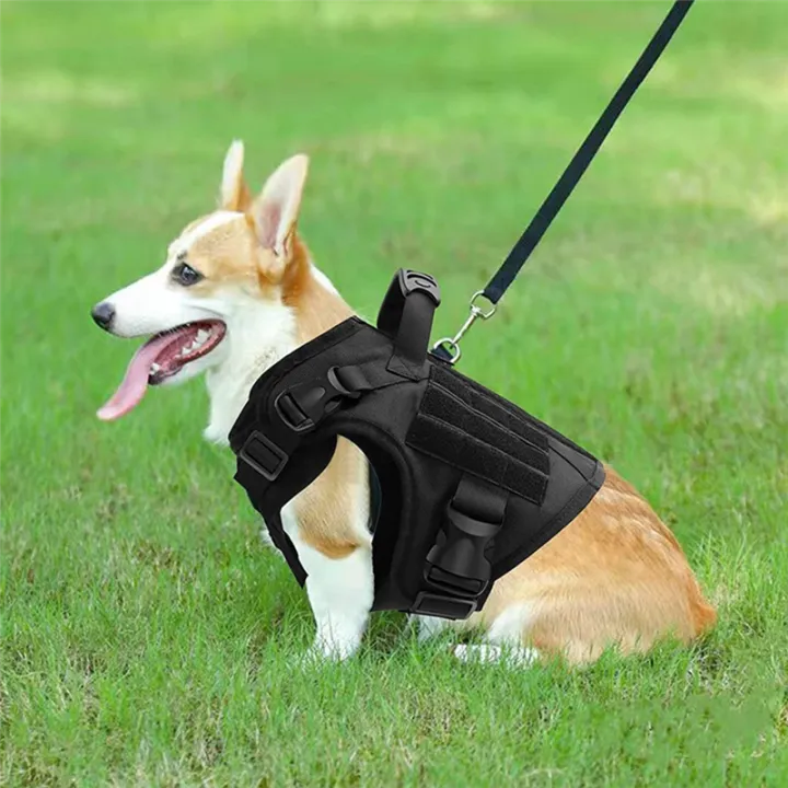Tactical%20Harness%20and%20Leash%20Set%20Leash%20Outdoor%20German%20Shepherd%20Large%20Dogs%20Training%20Vest%20Pet%20Harnesses%20-%20Image%208