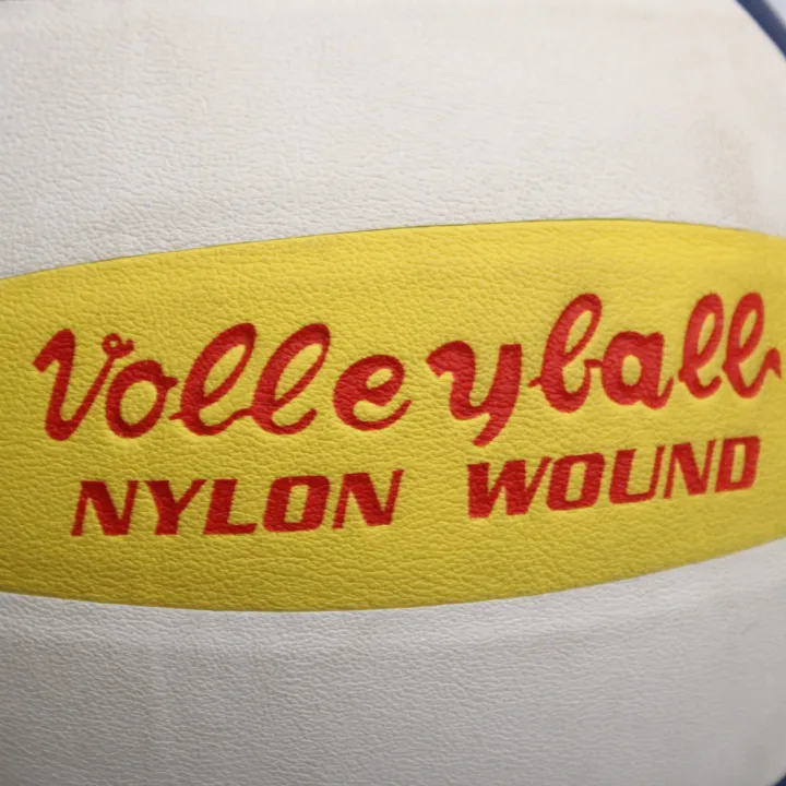 Double%20Fish%20No.5%20Blue/Yellow%20Color%20Volley%20Ball%20-%20Image%203