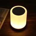 2X Night Light, Touch Lamp for Bedrooms Living Room Portable Table Bedside Lamps with Rechargeable Internal. 