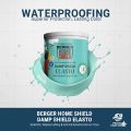 Berger Home Shield Elasto ( For Crack Bridging And Waterproofing Solutions ). 