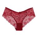 Trendygirl Nylon Underwear Lace Low Waist Women's Panties Breathable Quick Dry Slim Fit Underwear for Ladies Soft Seamless Underwear. 