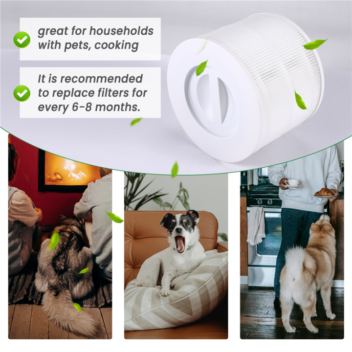 Core%20300%20Air%20Filters%20True%20HEPA%20Filter%20Replacement%20for%20Core%20300%20Air%20Purifiers%20Core%20300-RF%201%20Pack%20-%20Image%206