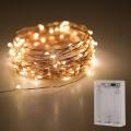 Led Waterproof Copper Starry Rice Lights. 