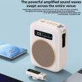 Voice Amplifier Wireless Lavalier Lapel Microphone for Classroom/Yoga/Conference Recording Microphone Beige. 