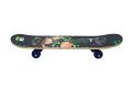 Skateboard - Standard Skateboard for Beginners Kids Boys Girls Teenager Skateboard, Skateboard 17 INCH X 5 INCH. 