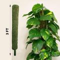 Coco Coir Stick Pole Moss Stick for Climbing Money Plant, Housing Plants Support  (3 Feet). 