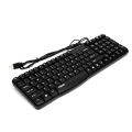 RAPOO N2400 Wired Keyboard. 