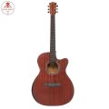 Deviser LS-550 Semi-Acoustic Guitar. 