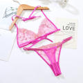 New Style Pink Lace Transparent Embroidery Sexy Hot Underwear With Bra And Panty Set. 