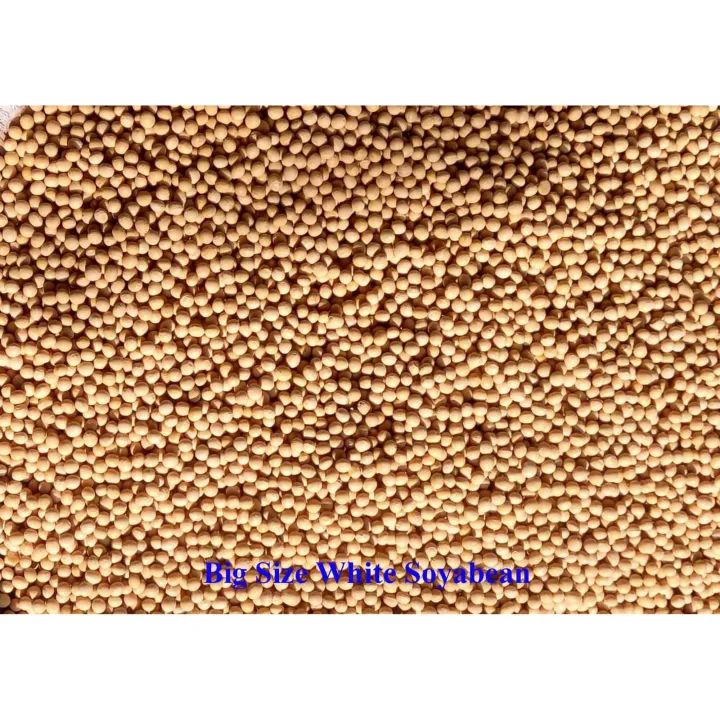 White%20Soyabean%201%20Kg%20-%20Image%202
