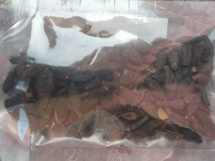 Harro/Terminalia%20Chebula(%E0%A4%B9%E0%A4%B0%E0%A5%8D%E0%A4%B0%E0%A5%8B)-50grams%20-%20Image%205